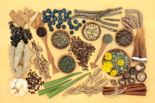 What Is an “Adaptogen”, Anyway?