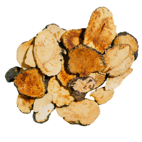 Maca